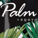 Palm + Agave 15ml